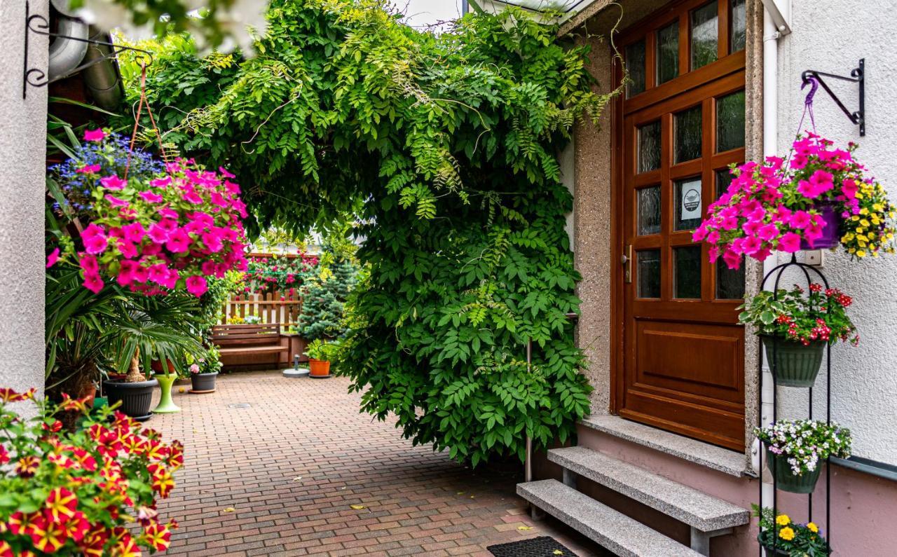 Pension Borna Εξωτερικό φωτογραφία